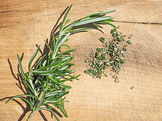 Image showing Rosemary plant on cutting board