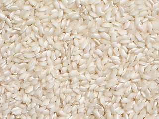 Image showing Carnaroli rice food