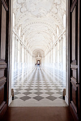 Image showing Italy - Royal Palace: Galleria di Diana, Venaria