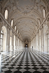 Image showing Italy - Royal Palace: Galleria di Diana, Venaria