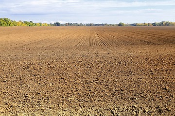 Image showing Agriculture