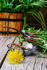 Image showing roots of dandelion flower