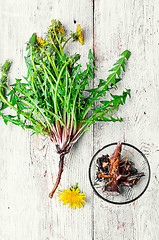 Image showing roots of dandelion flower