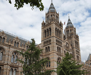 Image showing Natural History Museum in London