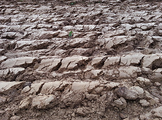 Image showing Plowed Land Soil
