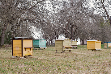 Image showing wooden bee hives in a garden