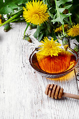 Image showing Dandelion honey