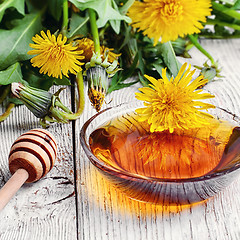 Image showing Dandelion honey