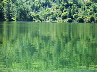 Image showing Greenflections