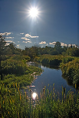 Image showing small river in sun