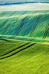 Image showing Rolling landscape of  South Moravia