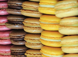 Image showing color macaroon background