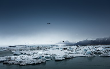 Image showing Icebergs at glacier lagoon 