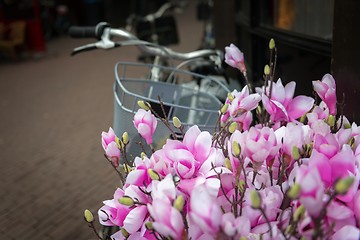 Image showing Bicycle and flowers