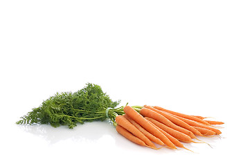 Image showing Fresh Vegetable