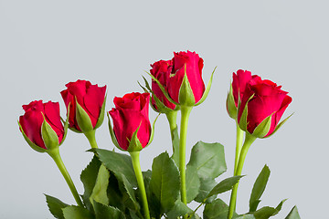 Image showing Bouquet of fresh red roses