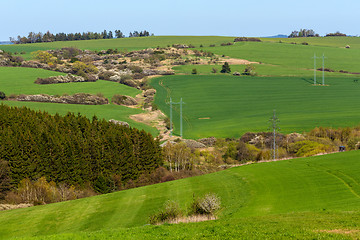 Image showing summer rural sping landscape