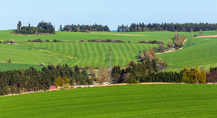 Image showing summer rural sping landscape