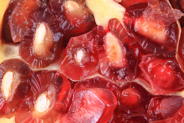 Image showing pomegranate background