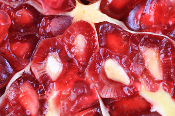 Image showing pomegranate background