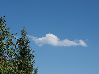 Image showing Tree and blue sky with clouds background