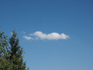 Image showing Tree and blue sky with clouds background