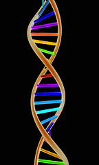 Image showing DNA structure model