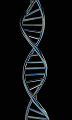 Image showing DNA structure model