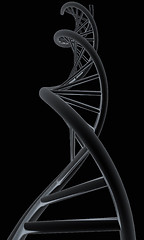 Image showing DNA structure model