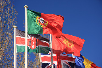 Image showing Country Flags
