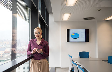 Image showing young business woman using smart phone