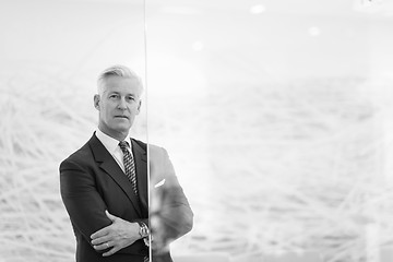 Image showing portrait of handsome senior business man at modern office