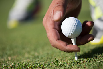 Image showing golf player placing ball on tee