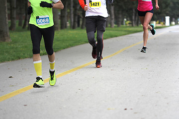 Image showing Marathon Cross Country Running