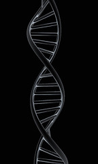 Image showing DNA structure model