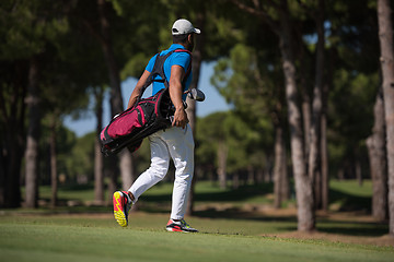 Image showing golf player walking and carrying bag