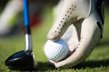 Image showing golf player placing ball on tee