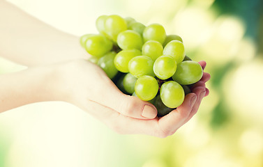 Image showing close up of woman hands holding green grape bunch