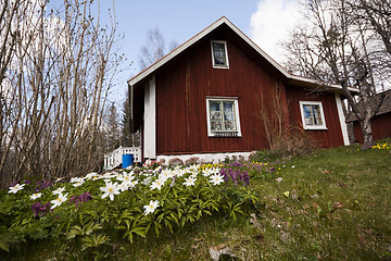 Image showing spring in the garden