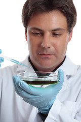 Image showing Scientist researcher testing analysing lab work