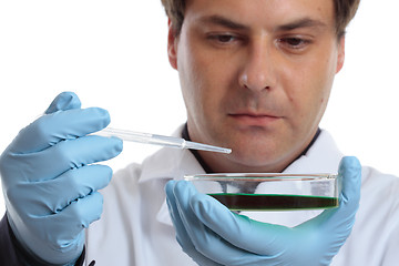 Image showing Scientist or chemist with petri dish