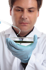 Image showing Scientist or researcher in laboratory