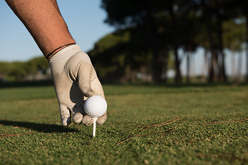 Image showing close up of golf players hand placing ball on tee