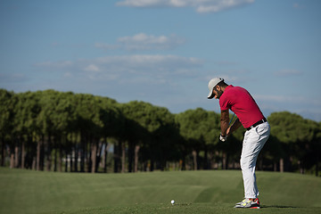 Image showing golf player hitting long shot