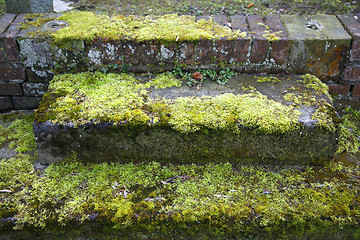 Image showing Neglected grave - Potsdam, Germany