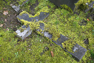 Image showing Neglected grave Potsdam, Germany