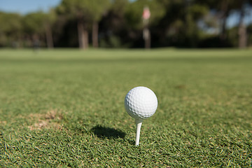 Image showing golf ball on tee