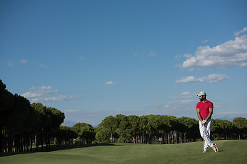 Image showing handsome middle eastern golf player portrait at course