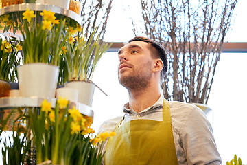 Image showing florist man with narcissus flowers at flower shop