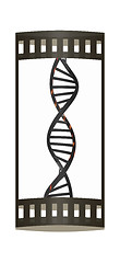 Image showing DNA structure model on white. The film strip